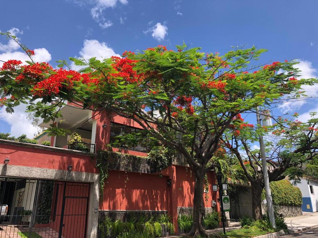 圣萨尔瓦多奥博尔福高酒店的建筑物一侧有红花的树