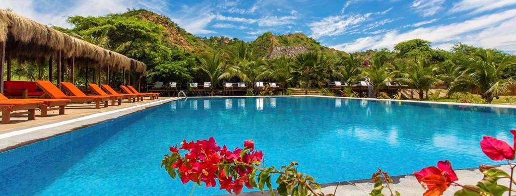 索里托斯Bungalows & Suites Punta Camarón的一座带橙色椅子和红色鲜花的大型游泳池