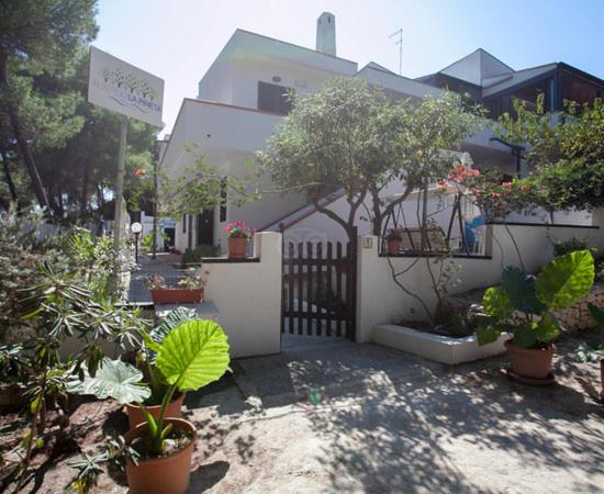 圣多米诺Albergo LA PINETA的一座花园,在一座建筑前种植盆栽植物