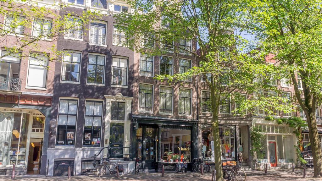 阿姆斯特丹T酒店的一座树木林立的阿姆斯特丹街道上的建筑