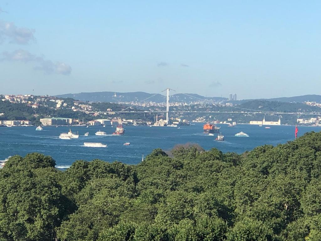 伊斯坦布尔信天翁圣索非亚大教堂酒店 的享有圣弗朗西斯科海湾和金门桥的景色