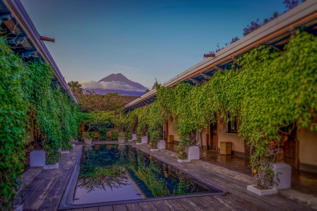 危地马拉安地瓜门安提瓜酒店的庭院里种有水和植物
