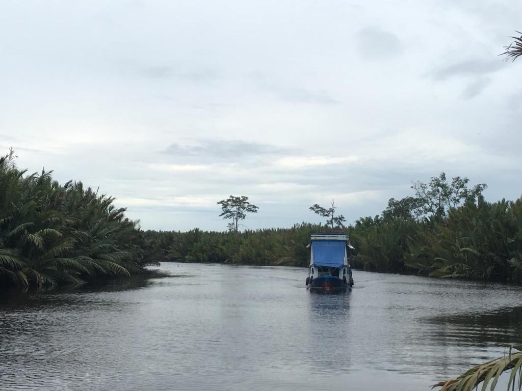 庞卡兰布翁Orangutan Shaka Houseboat with cabin的河中蓝色的船