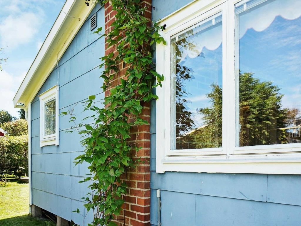 法尔肯贝里6 person holiday home in FALKENBERG的蓝色的房子,有窗户,上面常有常春藤