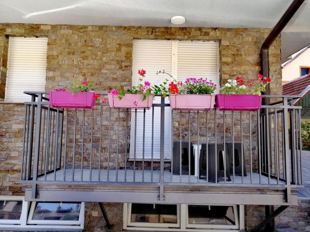 索科矿泉村Apatman Sergej的阳台上装有粉红色的盆子花