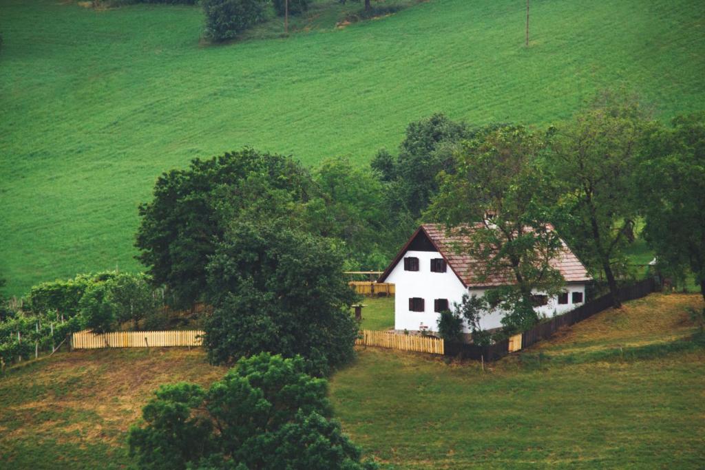 Šmartno na PohorjuHiša na Pohorju的田野上的白色房屋,有栅栏