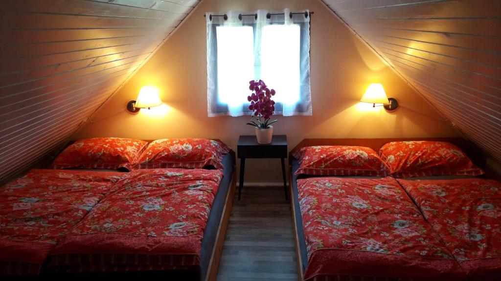 特尔日奇Alpinejka House的阁楼间设有两张床,设有窗户