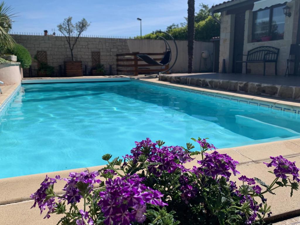瓦朗斯埃斯坎迪亚别墅的庭院里一座带紫色花的游泳池