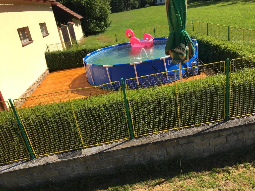 泰尔奇Chaloupka的院子里的游泳池,里面装着粉红色的鸭子