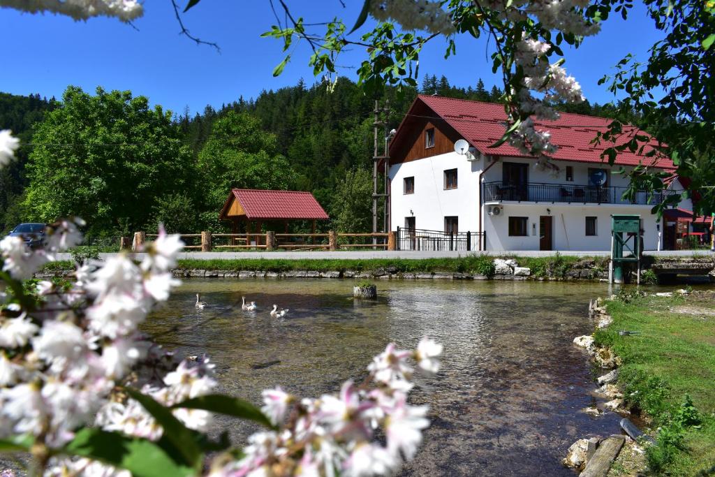 普利特维采湖Plitvice Panta Rei的一座建筑前有鸭子的河流