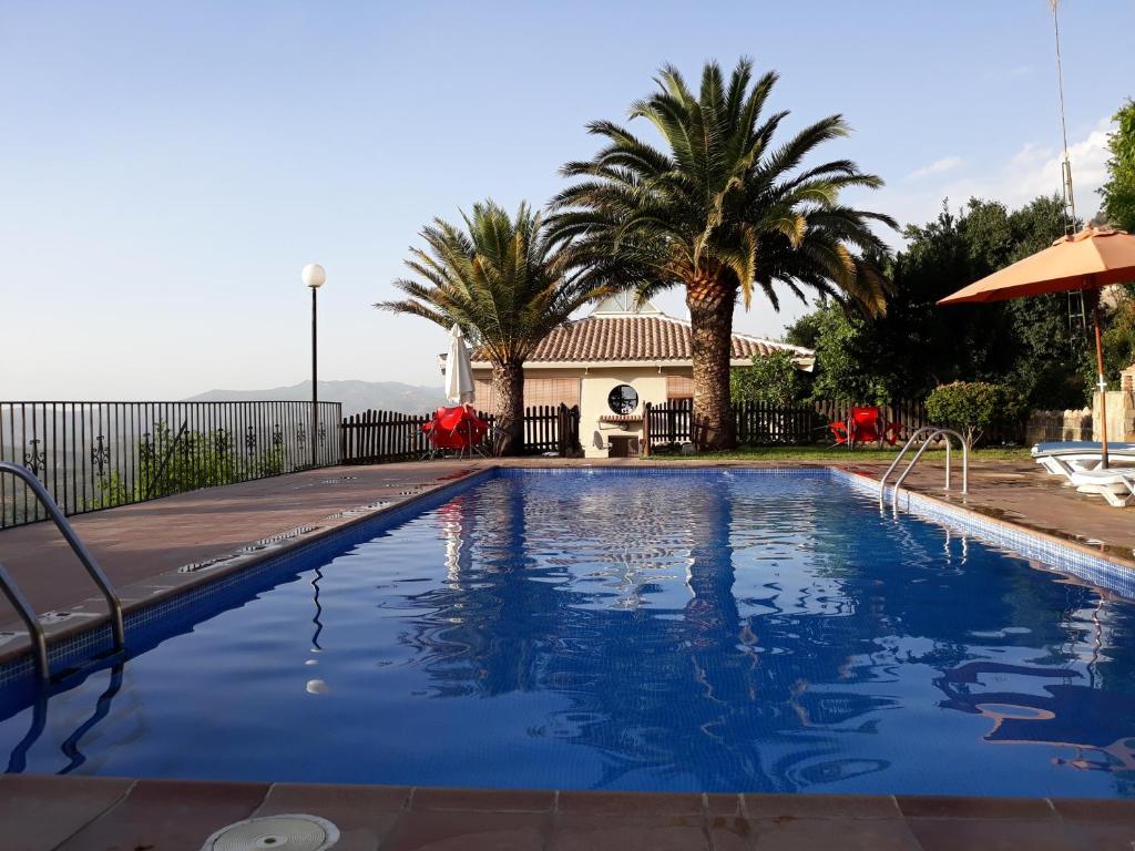 卡索拉Villa SABENA的一座棕榈树游泳池和一座房子