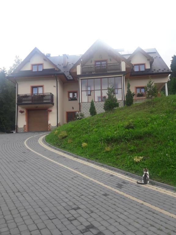 ŁapszankaNoclegi u Celiny i józefa的坐在房子前面的道路边的猫