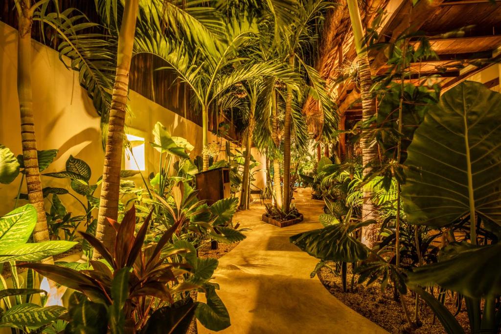 图卢姆Hotel Boutique TerraNova的建筑里布满植物的走廊