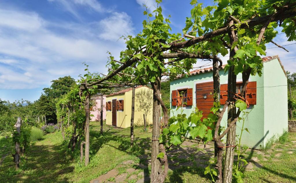 TruškeGlamping Green Istria Tiny Houses的葡萄园中树木繁茂的房子