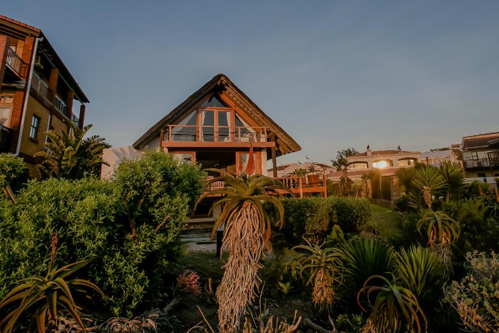 杰弗里湾Dreamland Beach House & Studios at Supertubes的前面有棕榈树的房子