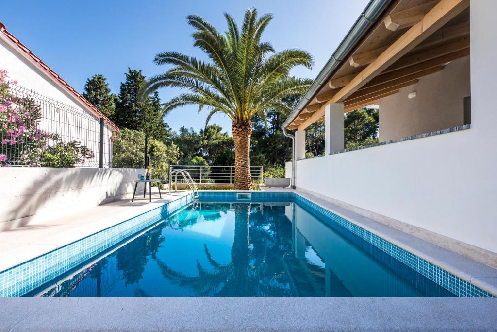 木洛希尼Villa Artaturi的棕榈树房子后院的游泳池