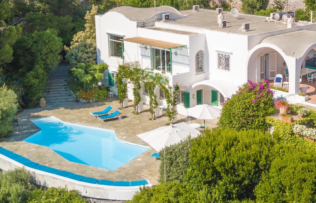 阿纳卡普里Il Carrubo Capri的享有带游泳池的房屋的空中景致