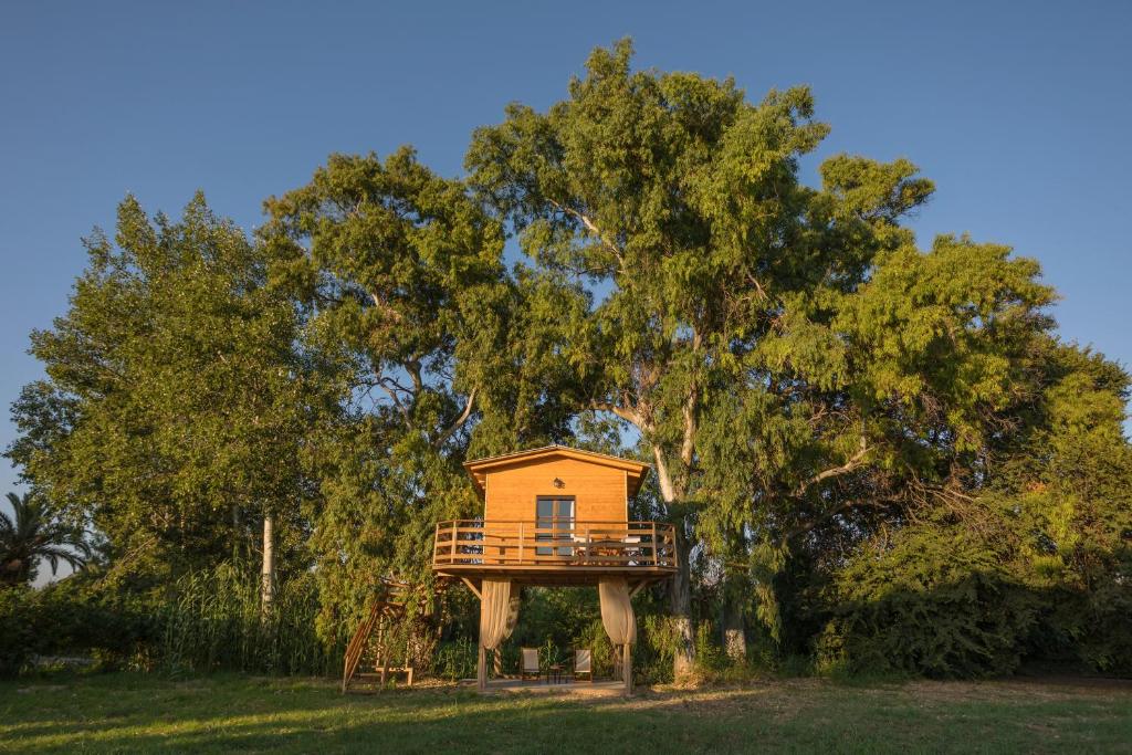 拉加纳斯River TreeHouse的田间中的一个树屋