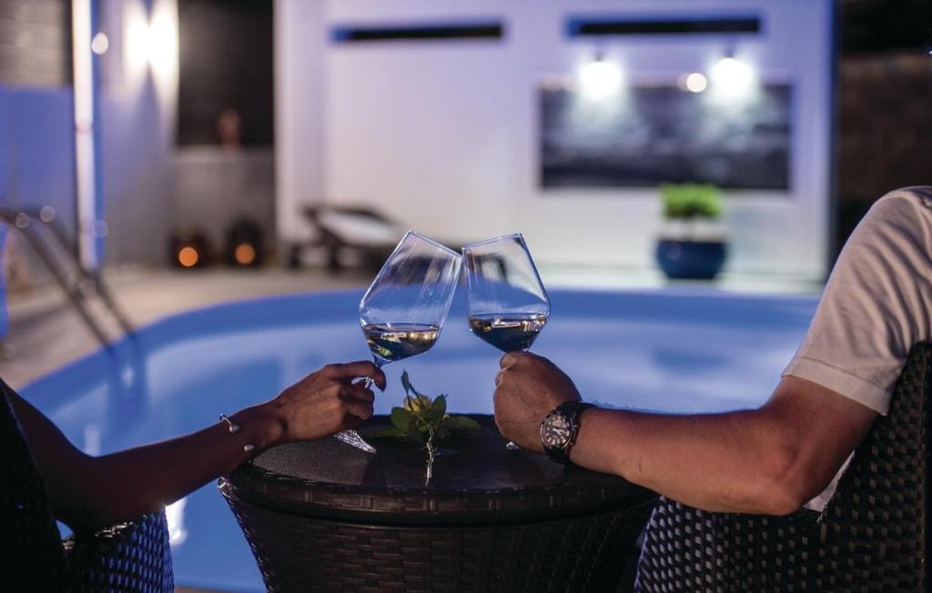 布尔扎克Molnar Resort Apartment Sergej的两人在游泳池前戴酒杯