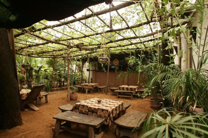 巴马科Auberge Djamilla的温室里种有桌子和植物的庭院