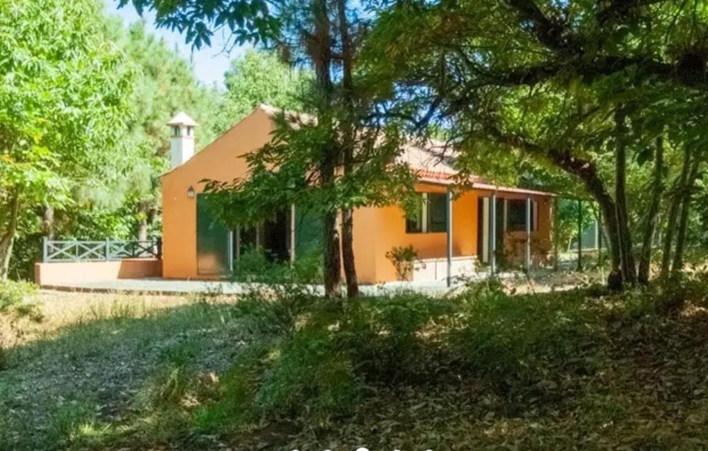 拉奥罗塔瓦Finca La Casita的一座橘子小房子前面有树木