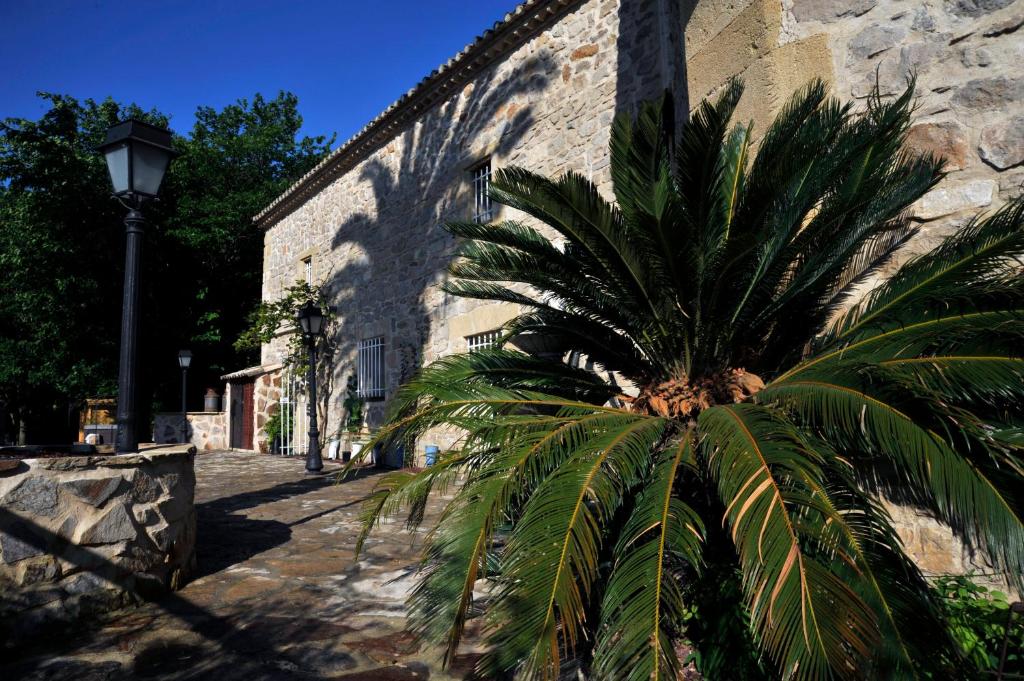 圣洛朗代古兹红磨坊圣洛朗旅馆的一座建筑前的棕榈树