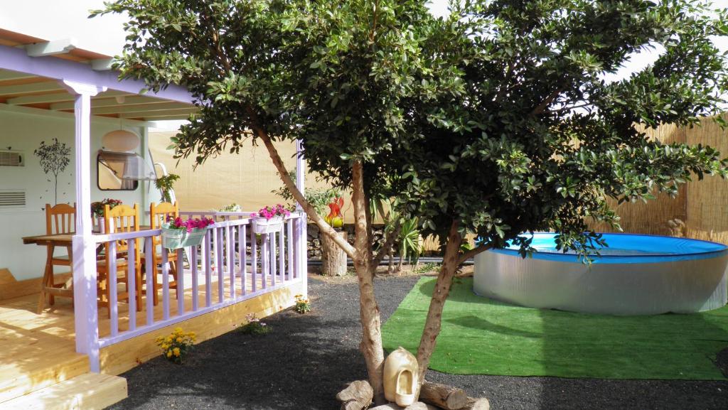 La VeguetaChalet en oasis privado的后院设有热水浴池和树