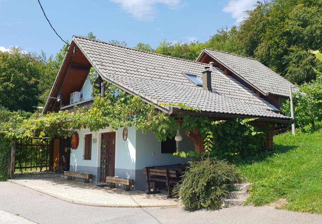 TrebnjeZidanica Meglič - Vineyard cottage Meglič的一座带门廊和围栏的小房子