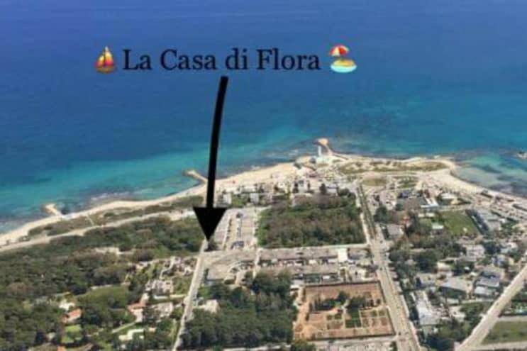 圣卡塔尔多La casa di Flora的城市的空中景观与la casa del floro的字眼
