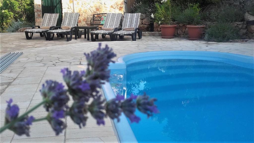 斯塔里格勒Lavender Hill Hvar Villa - pool, jacuzzi,sauna,BBQ的游泳池旁的一束紫色花