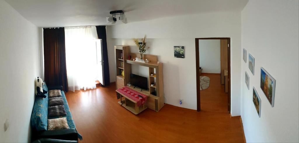 Apartament Bogdan的电视和/或娱乐中心