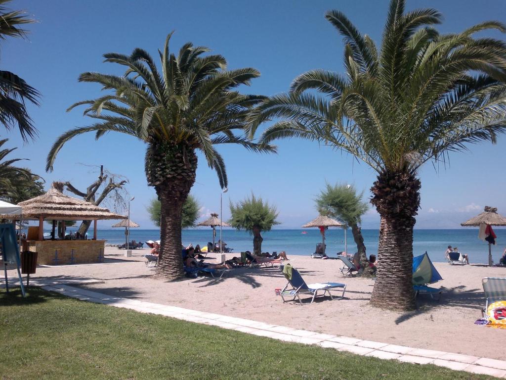 莫拉蒂卡三星海滩酒店的海滩上种有棕榈树和人
