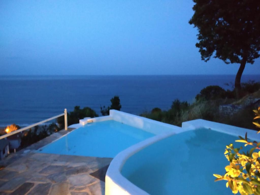霍里顿Isabel Artemis的蓝色的游泳池,背景是大海