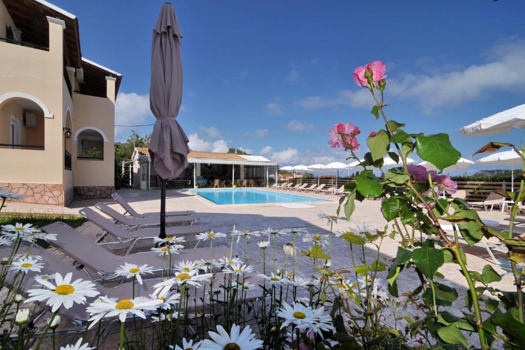 阿里拉斯Makris Apartments Arillas Corfu的一座带游泳池和鲜花的别墅