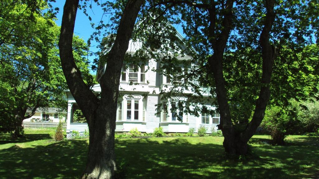 苏里斯The Library Inn的前面有树木的白色房子