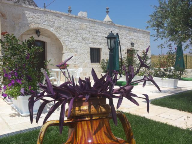 阿尔贝罗贝洛迪莫拉玛塔乐思特鲁利住宿加早餐酒店的花瓶,在建筑物前装满紫色花朵