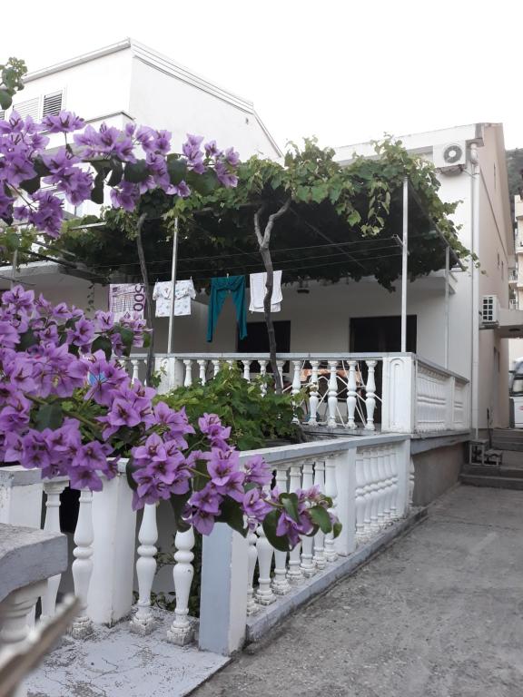 佩特罗瓦纳莫鲁Sobe i apartmani Marović的白色的围栏,上面有紫色的花朵