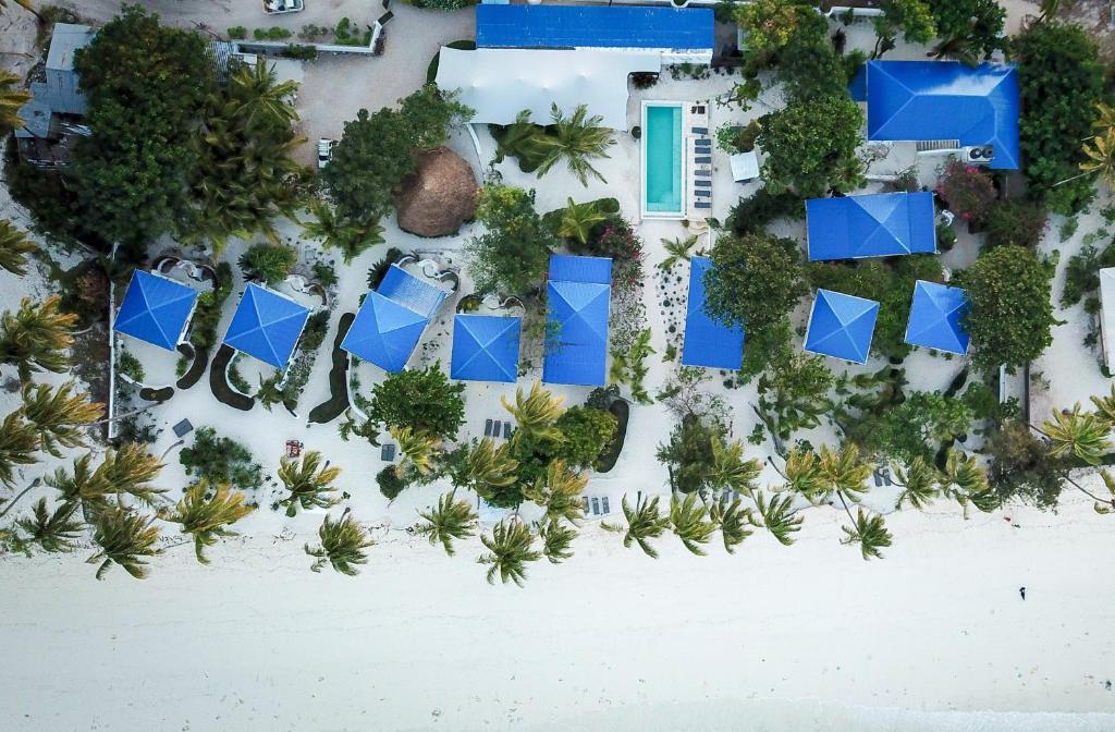 布韦朱Indigo Beach Zanzibar的海滩上的度假村的空中景致