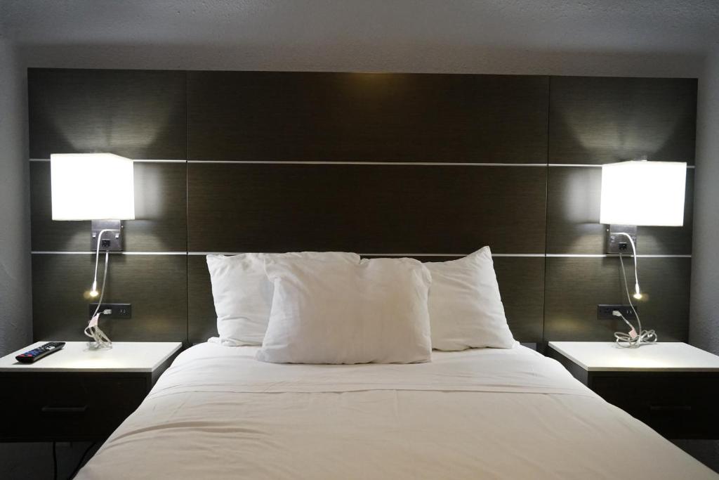 旧金山犹他宾馆的一间卧室配有一张大床,上面有两盏灯