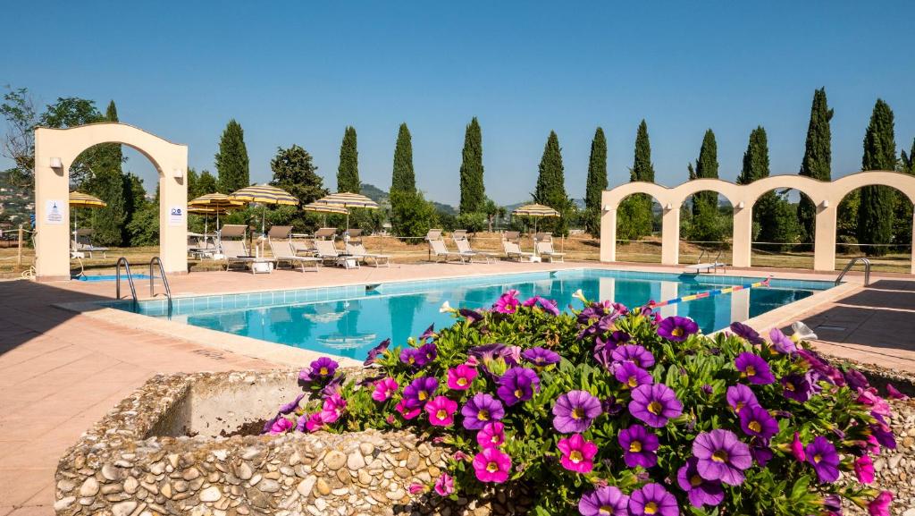 佩鲁贾佩鲁贾维加酒店的花园内带紫色花的游泳池