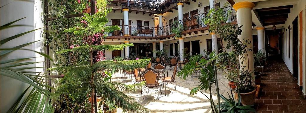 圣克里斯托瓦尔-德拉斯卡萨斯格兰德玛丽亚酒店的一座植物繁茂的建筑的空庭院
