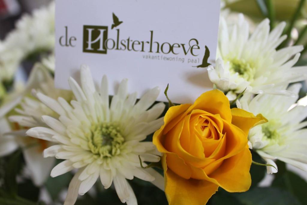 贝灵恩De Holsterhoeve的一束白色和黄色花,有标志