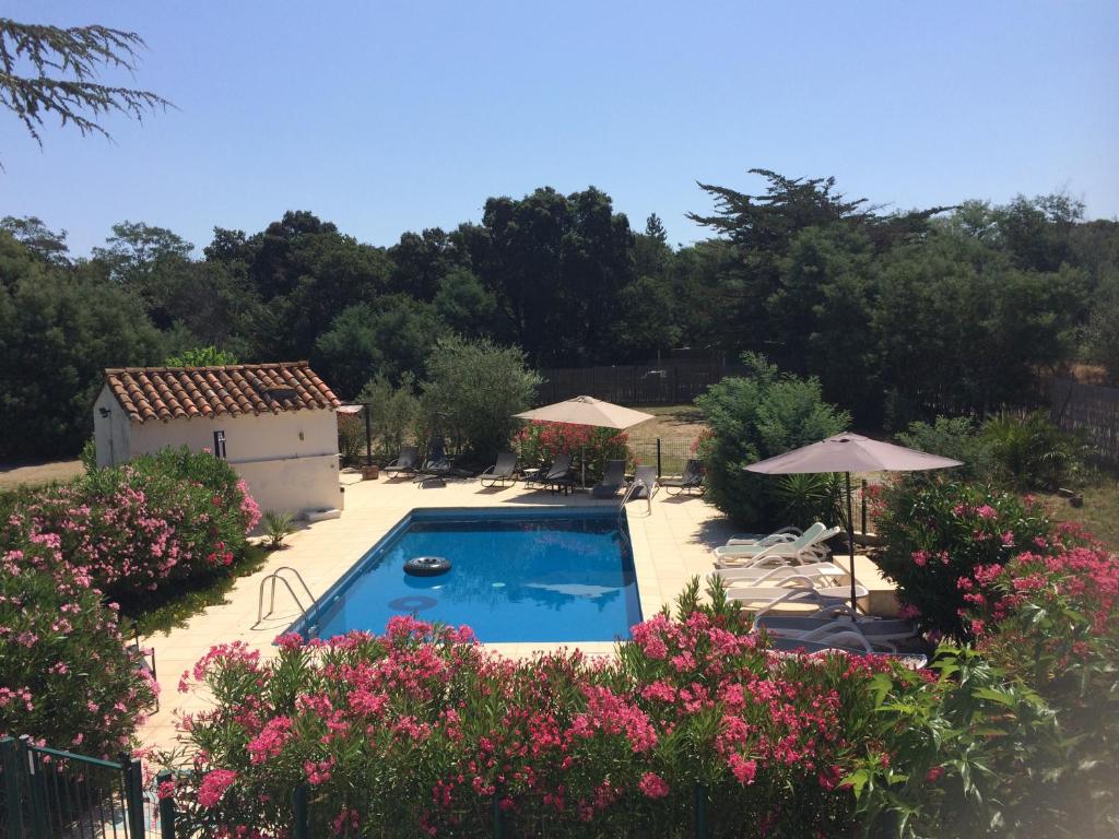 滨海阿热莱斯Villa Côte Vermeille的一座游泳池,位于一个拥有粉红色花卉的庭院内