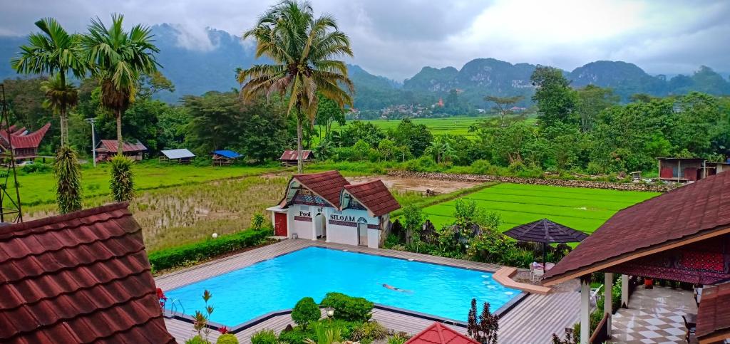 兰特包Toraja Torsina Hotel的享有带游泳池的别墅的空中景致