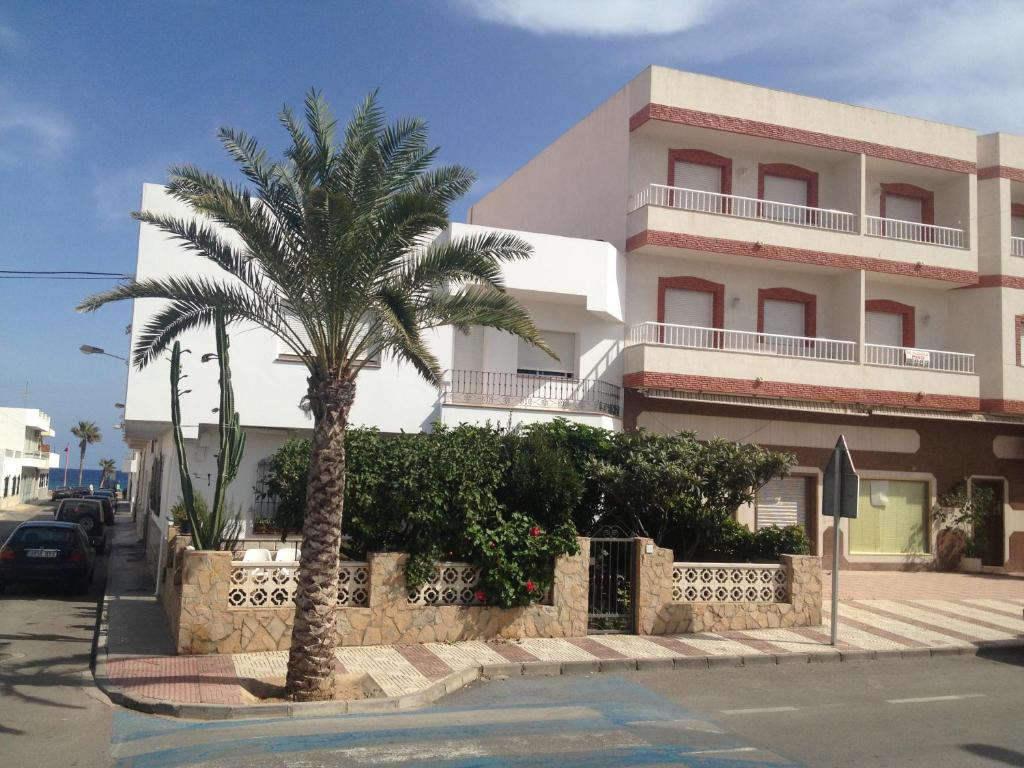 卡沃内拉斯Apartamentos Sol Andaluz的一座建筑前的棕榈树