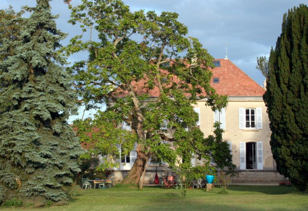 绍雷莱博恩Le Clos des Roseaux的前面有一棵大树的房子