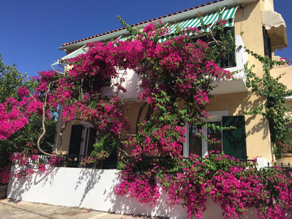 米尼亚Casa Buganvilla的一座建筑的侧面是粉红色的花朵