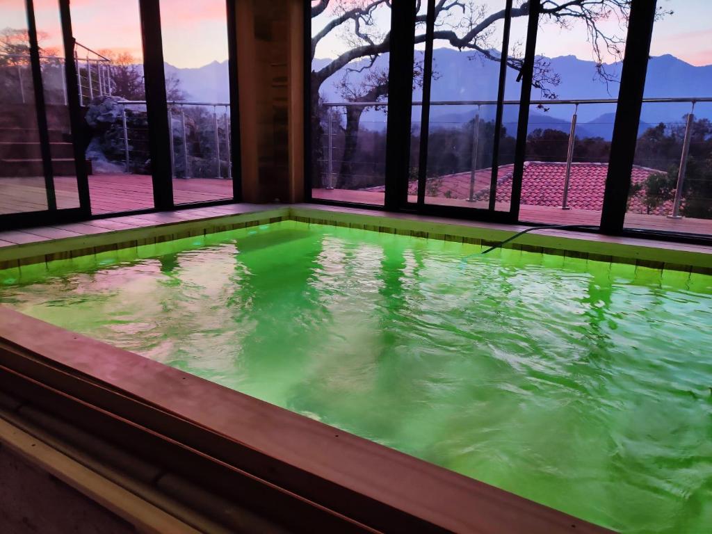 索塔A Camerina的窗户客房内的游泳池,带绿水