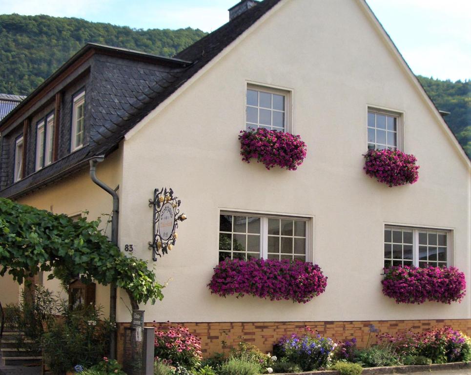恩斯特Gästehaus Weberskirch的白色房子,窗户上有紫色的鲜花