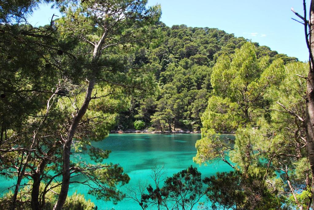 Kozarica莱度枝别墅的享有树木环绕的湖泊美景